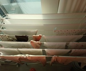 진복희 이모님 감사합니다~